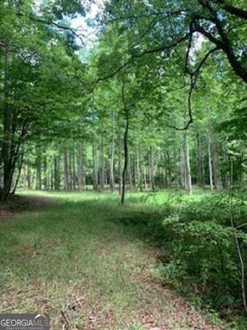 0 Craigtown, Ellijay, GA 30540