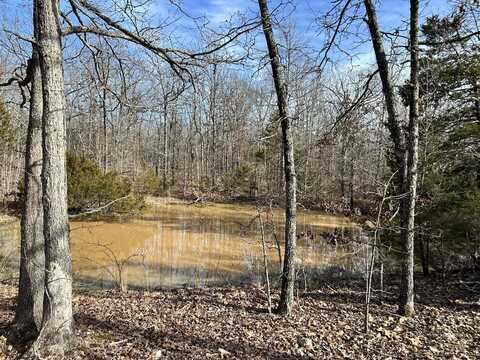 380 Moonlight Road, Mammoth Spring, AR 72554