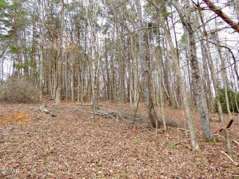 Lot 13 Back Nine Drive, Baneberry, TN 37890