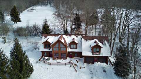 126 The Meadows Ln, Snowshoe, WV 26209