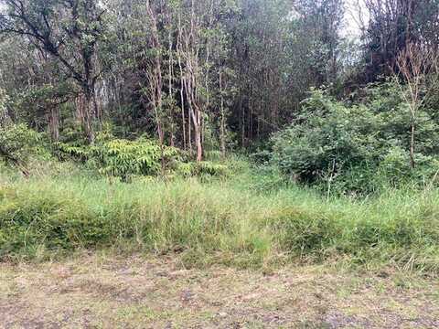 ROAD 5, Volcano, HI 96785