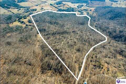 Frenchman Knob Road, Munfordville, KY 42765