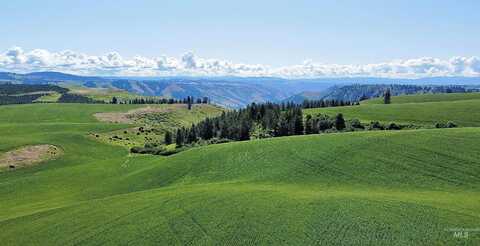 Tbd Basket Rd, Nezperce, ID 83543