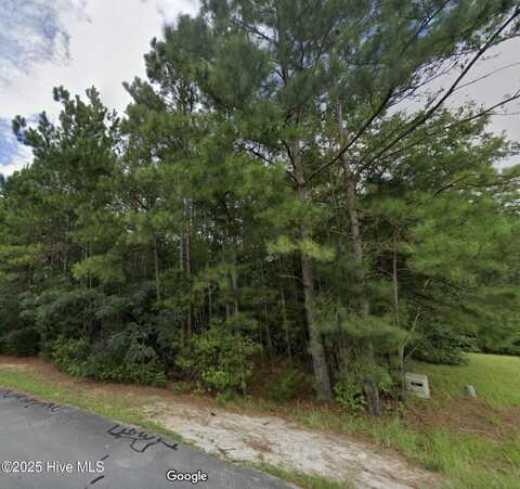 325 Farina Drive, Havelock, NC 28532