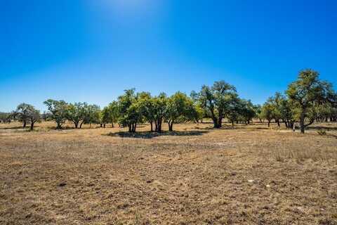 Lot 103 Oryx View Dr, Harper, TX 78631