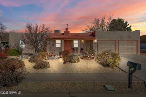 1243 oakridge Drive, Las Cruces, NM 88005