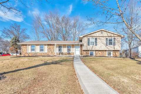 1 Pershing Lake Drive, Saint Peters, MO 63376