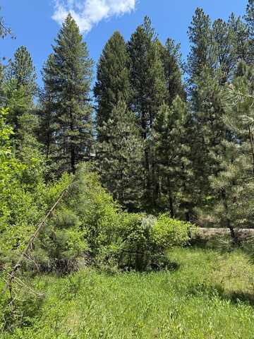 Lot 2 Yampa Court, New Meadows, ID 83654