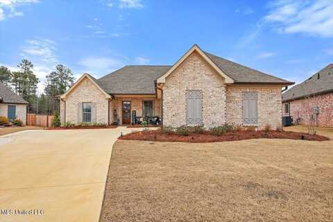 251 Bronson Bend, Flowood, MS 39232