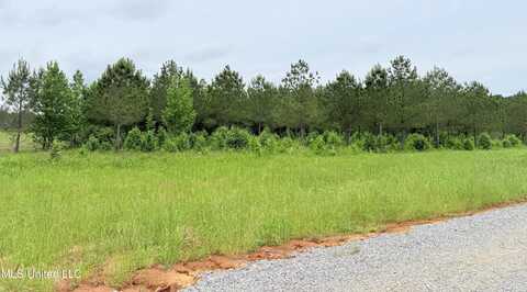 Windfall Trail, Madison, MS 39110