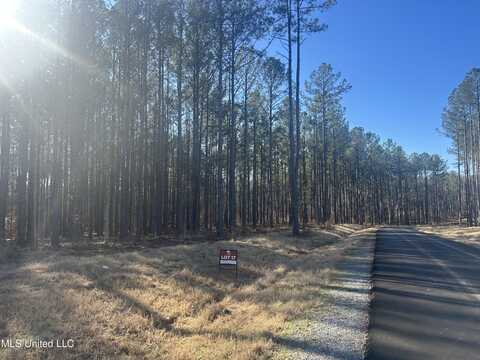 Springwood Trail, Flora, MS 39071