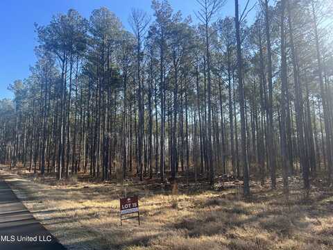 Springwood Trail, Flora, MS 39071