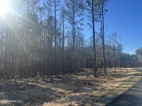 Springwood Trail, Flora, MS 39071