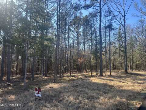 Springwood Trail, Flora, MS 39071