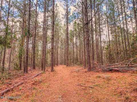 46.27 Ac Nelson Road, Poplarville, MS 39470