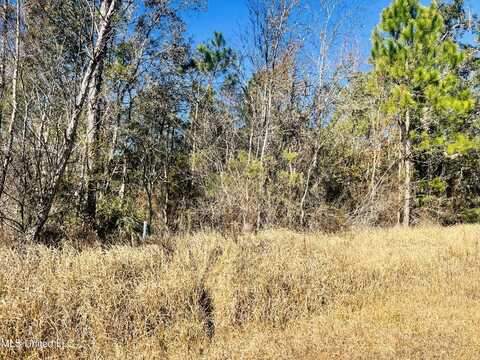 Nhn Lot 8 18 Th Street, Bay Saint Louis, MS 39520