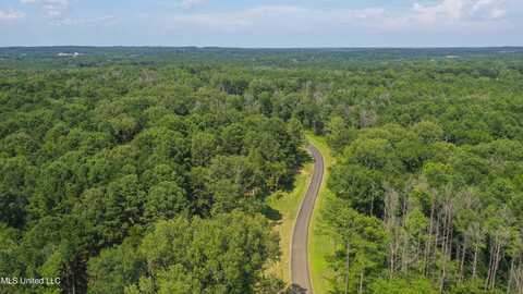 Springwood Trail, Flora, MS 39071