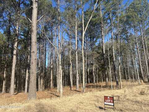 Springwood Trail, Flora, MS 39071