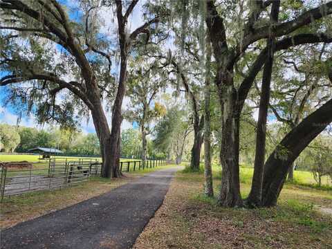 7670 NW 137TH AVENUE, MORRISTON, FL 32668