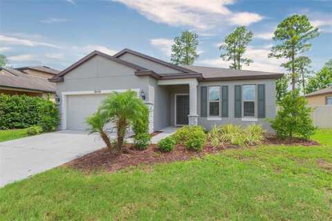 18548 ROCOCO ROAD, SPRING HILL, FL 34610