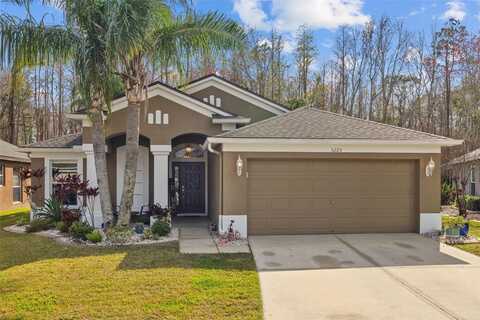 5225 ALGERINE PLACE, WESLEY CHAPEL, FL 33544