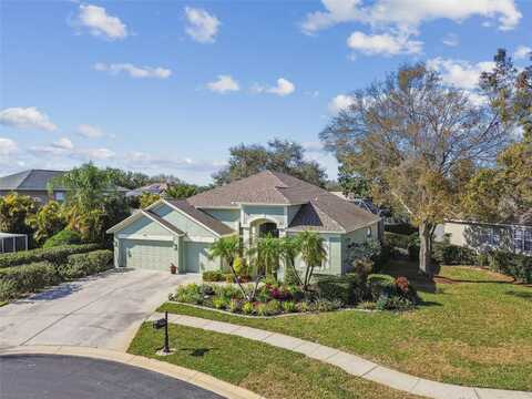 3710 RAIN TREE COURT, PALM HARBOR, FL 34685