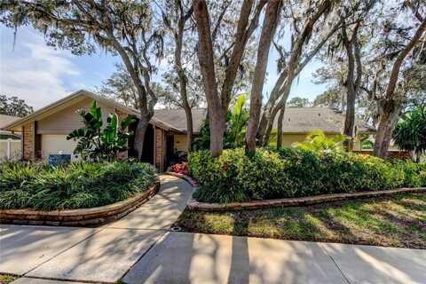3089 ENISGLEN DRIVE, PALM HARBOR, FL 34683
