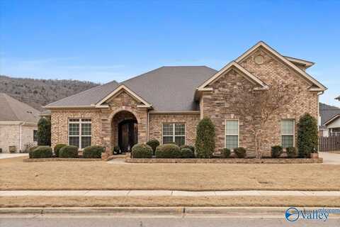 39 Summerlyn Way, Gurley, AL 35748