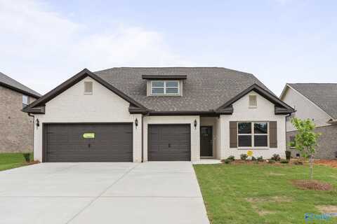 185 Saddle Street, New Market, AL 35761