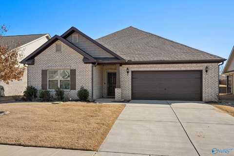 111 Grove Hill Circle, New Market, AL 35761