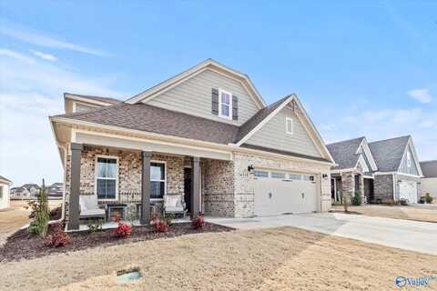 16918 Orleans Drive, Athens, AL 35611