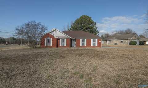 101 Drake Down Circle, Toney, AL 35773