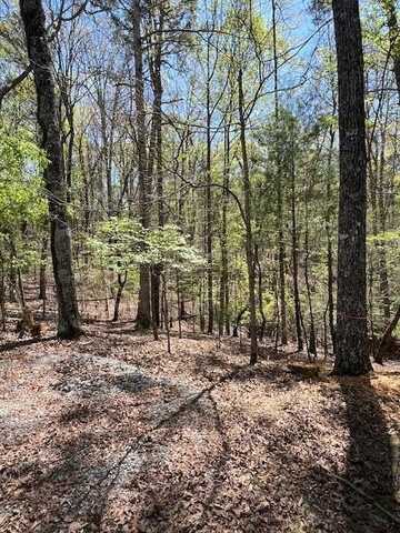 Lt1014 Gibe Court, Ellijay, GA 30540