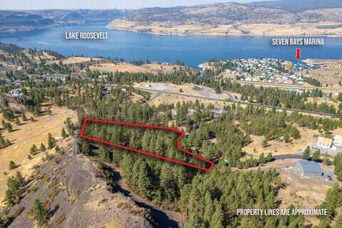 41900 ROCKY TOP DR N, DAVENPORT, WA 99122