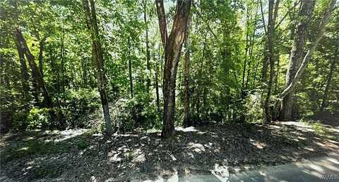 0 Kimberly Drive, Lake View, AL 35111