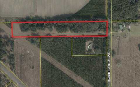 TBD NW COUNTY ROAD 251, Mayo, FL 32066