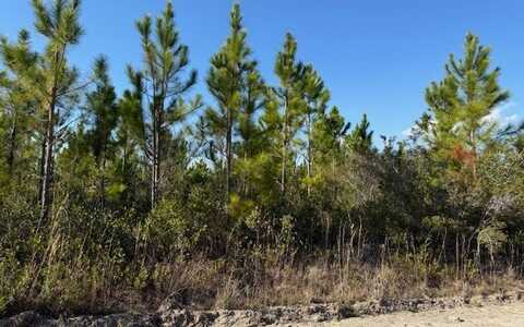 SE COUNTY LINE RD., Lake City, FL 32025