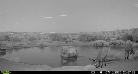 221/223 Five Gate Road, Pinehill, NM 87321