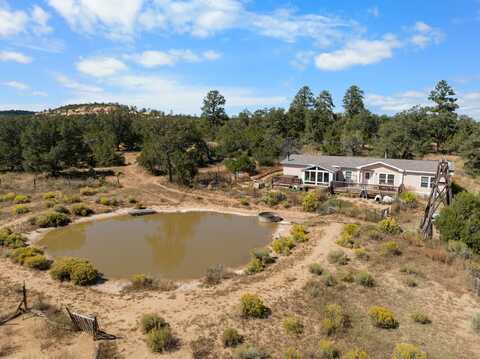 221/223 Five Gate Road, Pinehill, NM 87321