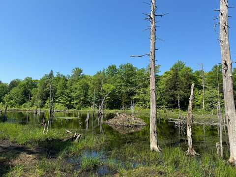 1.19 Mud Brook Road, Lewis, NY 13325