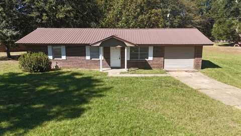 410 Wallace st, Opp, AL 36467