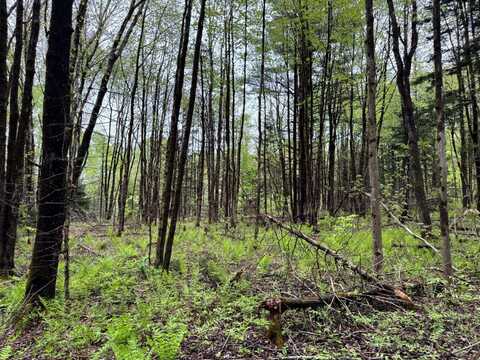 1131 Gregory Rd, Osceola, NY 13316