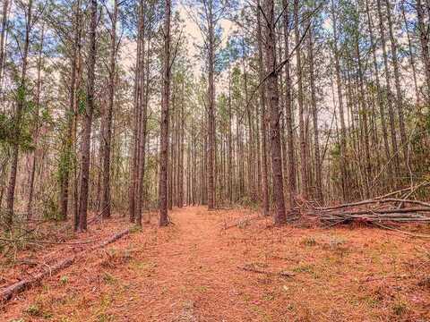 46.27 AC Nelson Road, Poplarville, MS 39470