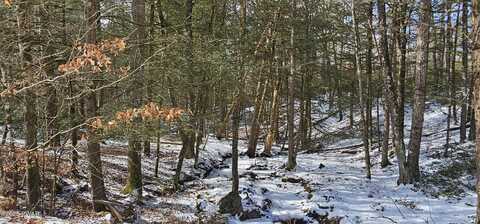 Lot 24 Brook Drive, Narrowsburg, NY, NY 12764