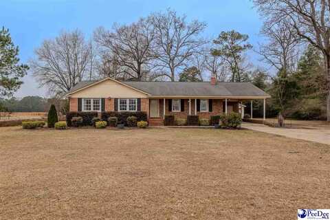 1708 Andrews Mill Rd, Lamar, SC 29069