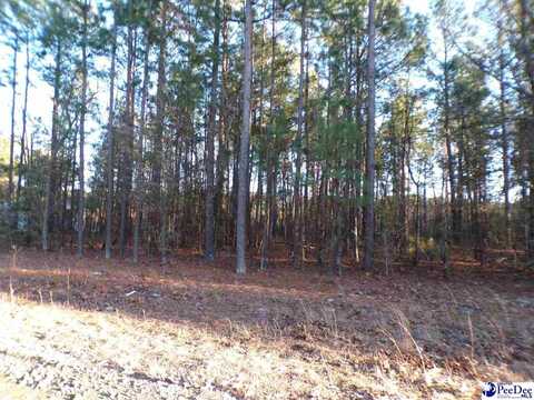 Lot 21 Skylite Drive, Dillon, SC 29536