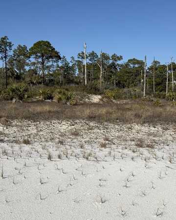TBD CR 30-A, Cape San Blas, FL 32456