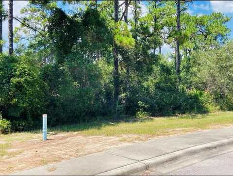 129 Anhinga Ct, Carrabelle, FL 32322