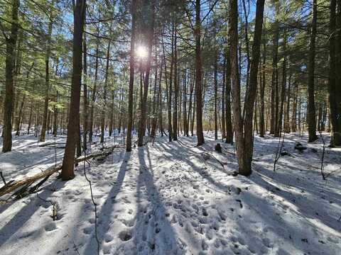 COUNTY ROAD YY, OGEMA, WI 54459