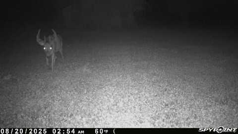 V/L BLAKE Road, Jackson, MI 49201